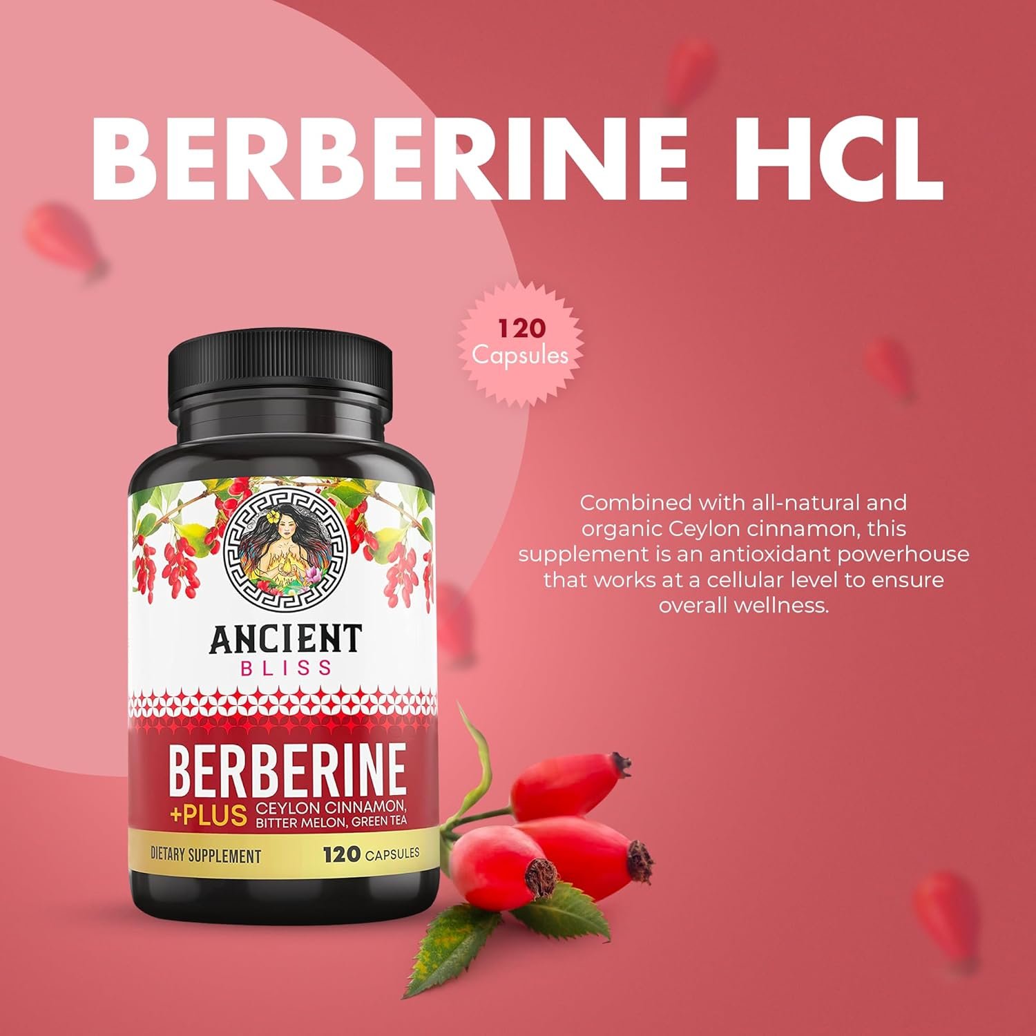 Ancient Bliss Berberine HCL 1200mg with Ceylon Cinnamon, Bitter Melon, and Green Tea Extract - 120 Capsules