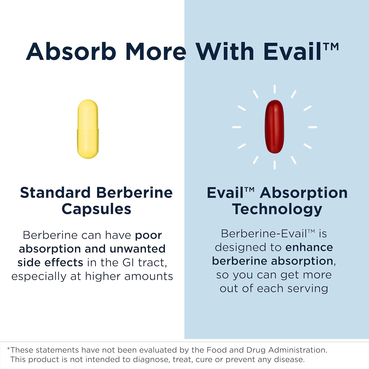 Designs for Health Berberine Evail - Enhanced Absorption Berberine Supplement for Metabolism  Healthy Lifestyle Support - Non-GMO (60 Servings)