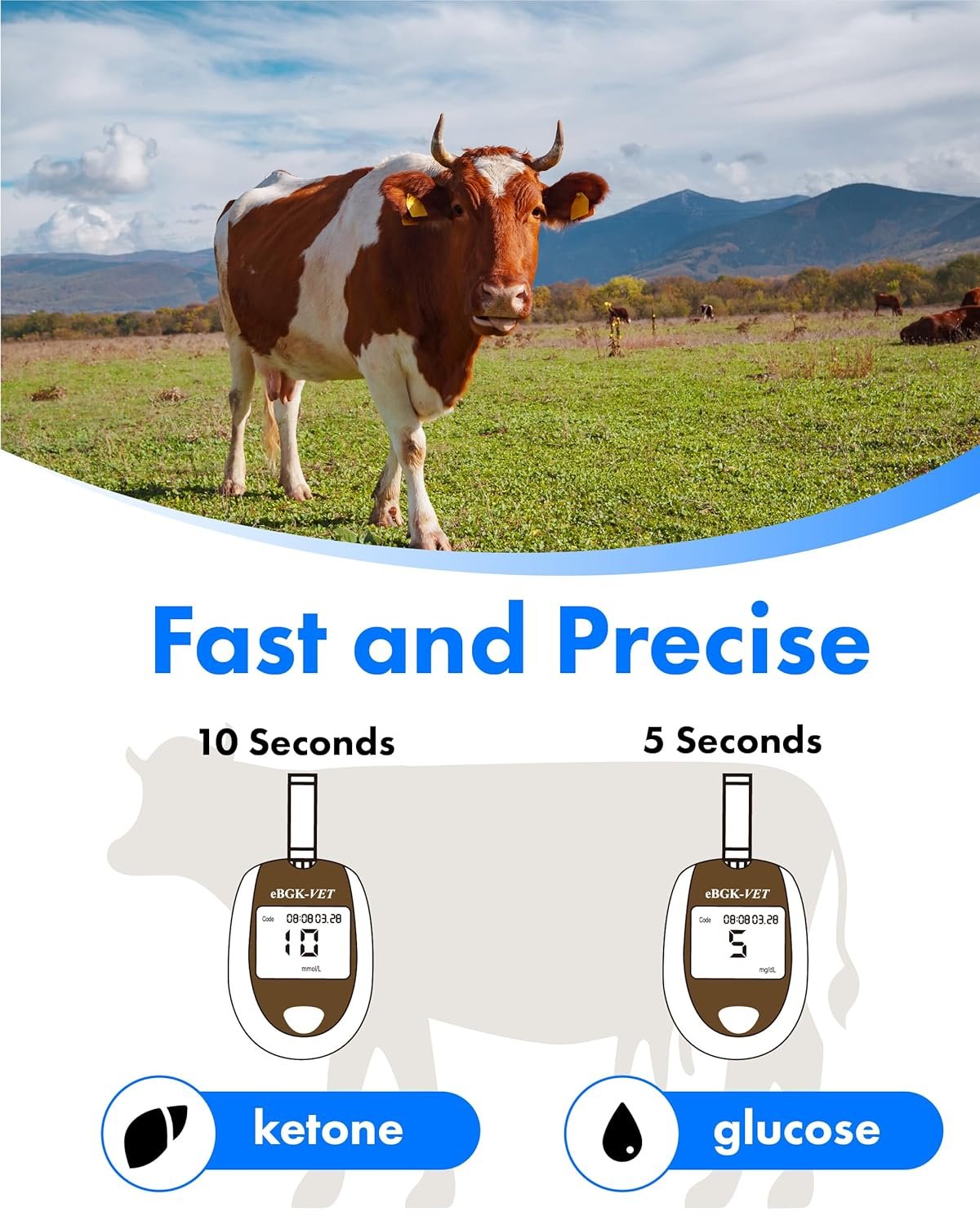 eBGKVET Glucose Ketone 2-in-1 Monitoring Kit Dairy Cows Glucose Ketone 50 Blood Glucose Test Strips, 10 Ketone Test Strips Carrying Case for Animal Care